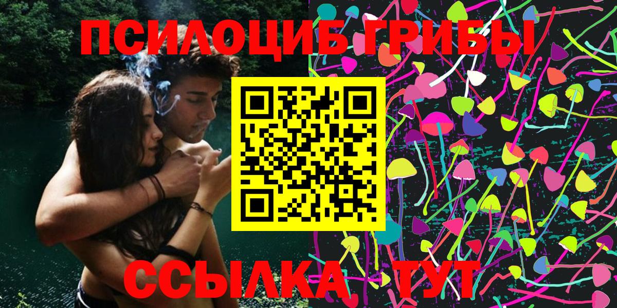 Псилоцибиновые грибы Magic Shrooms  Вход с VPN  Дальнереченск 