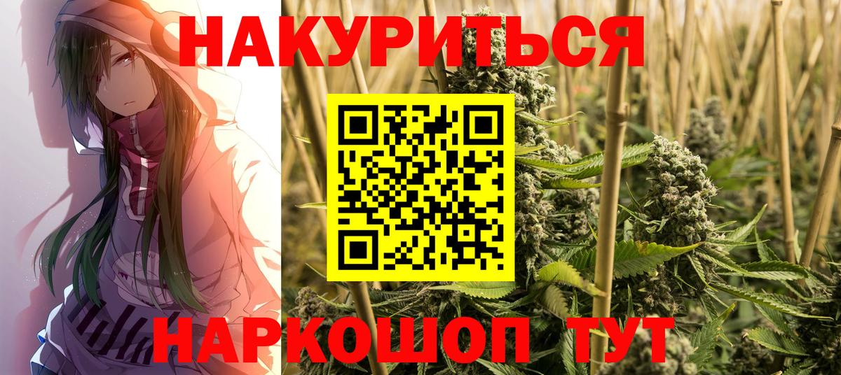 Каннабис сатива Дальнереченск